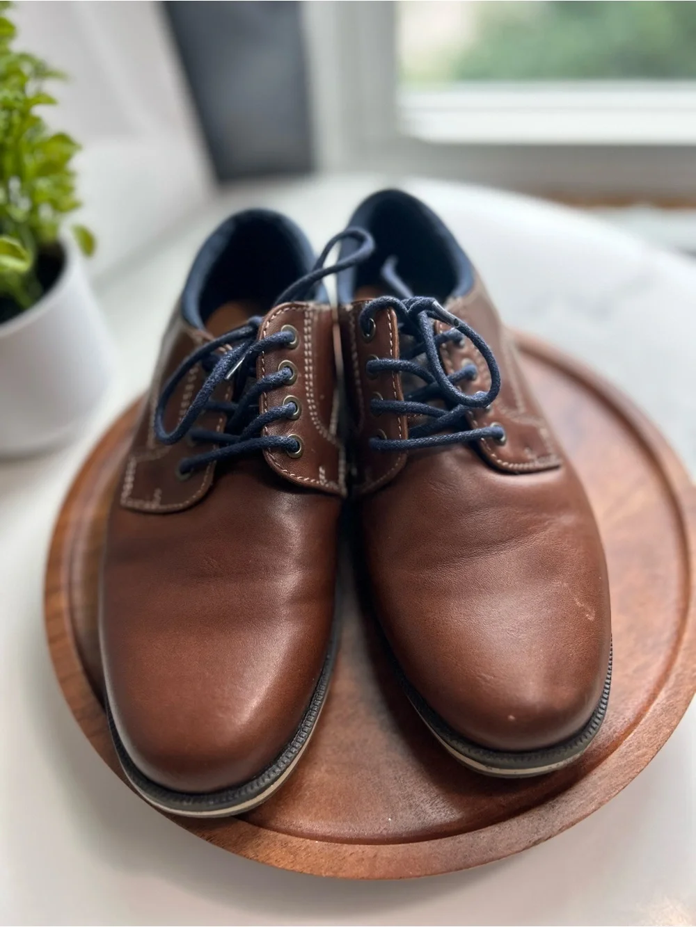 Sonoma Brown Leather Derby Shoes with Navy Laces